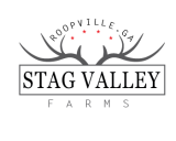 /public/logoimage/1560955028stag valley-06.png